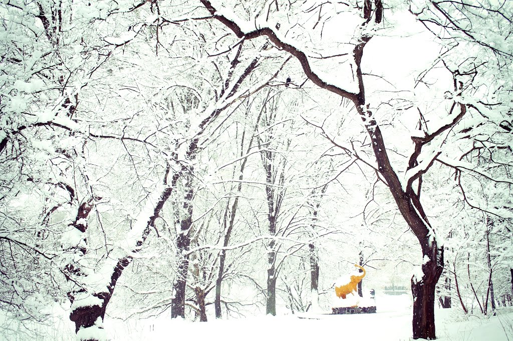 Winter Elephant
