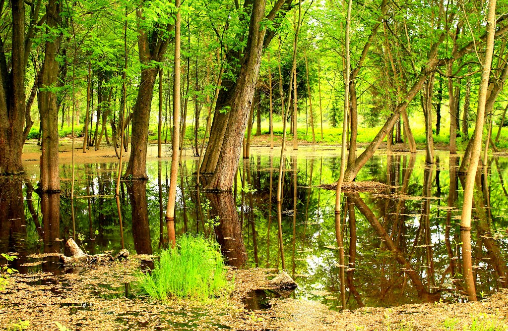 High Water