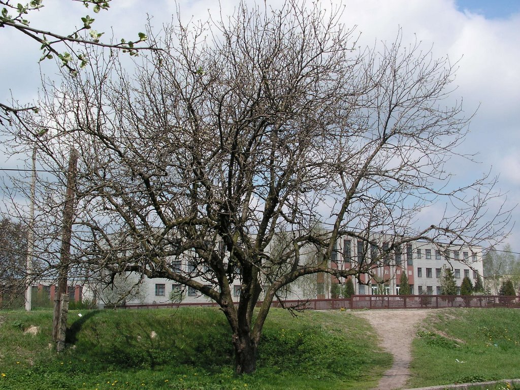 Любомль