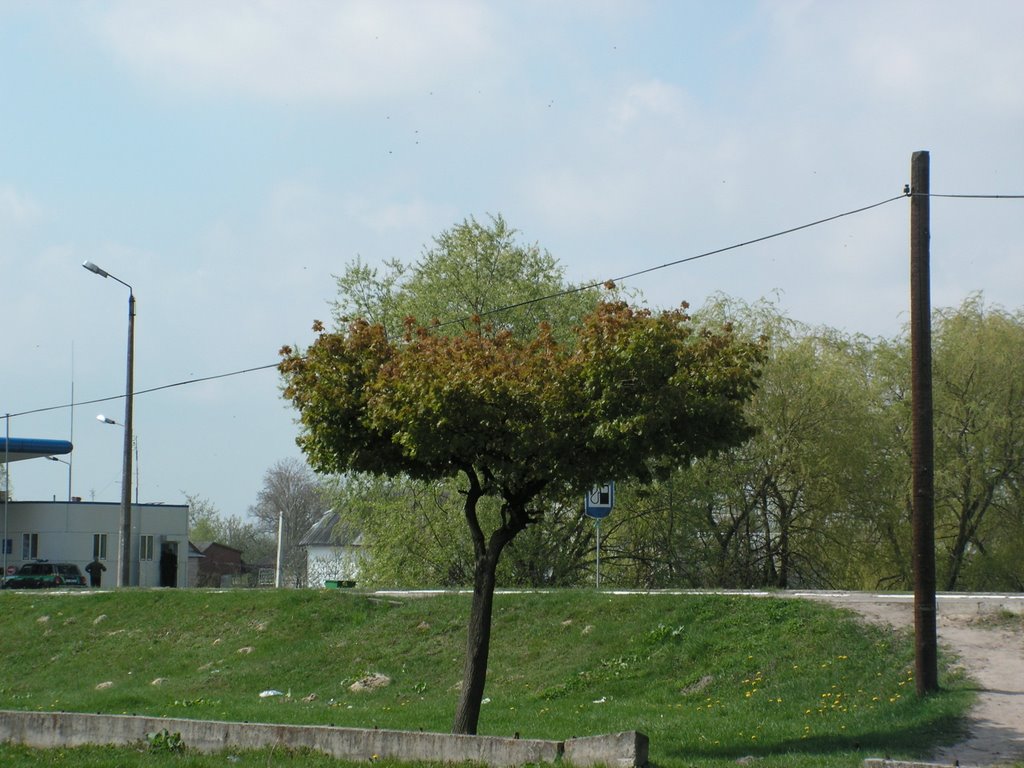 Любомль