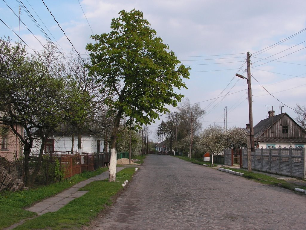 Любомль. Завальска вулиця.