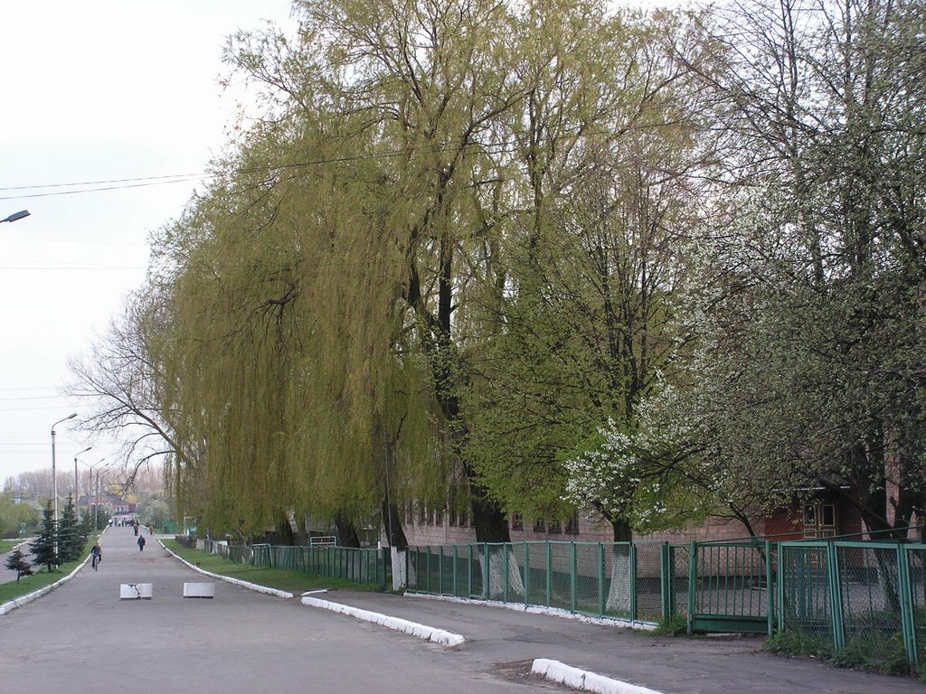 Любомль. Поштова вулиця.