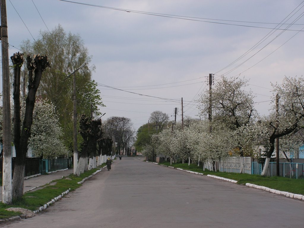 Любомль. Поштова вулиця.