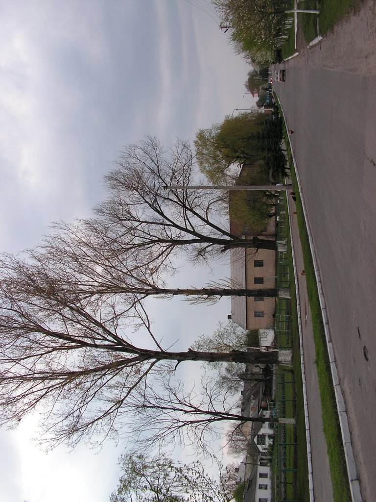 Любомль. Поштова вулиця.