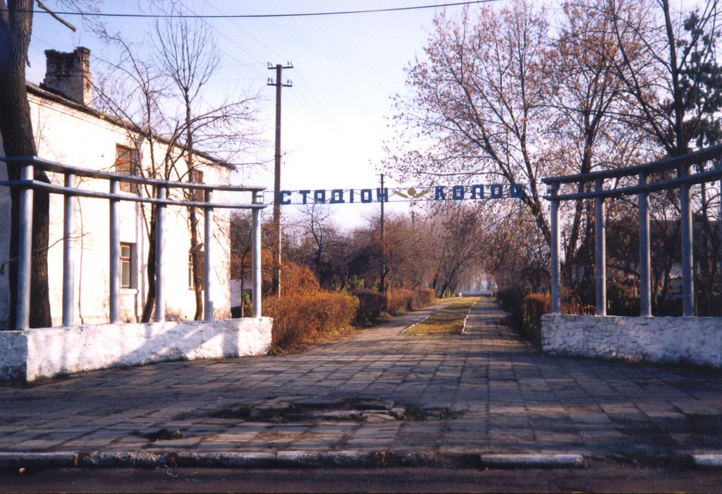 Любомль. Аллея на стадіон.