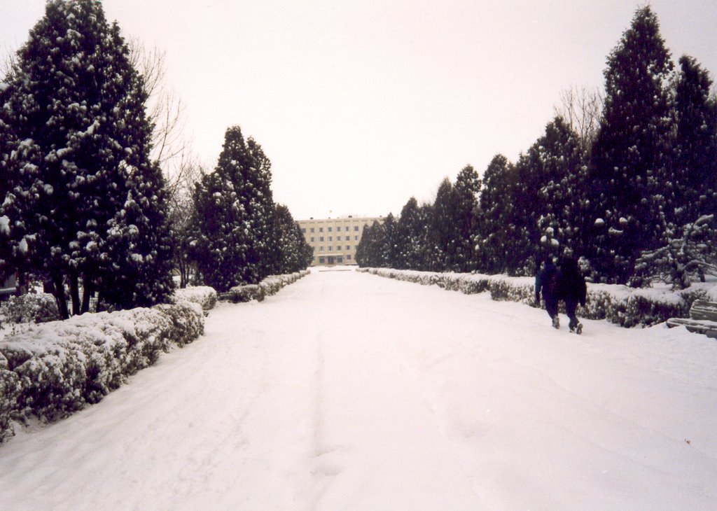Любомль