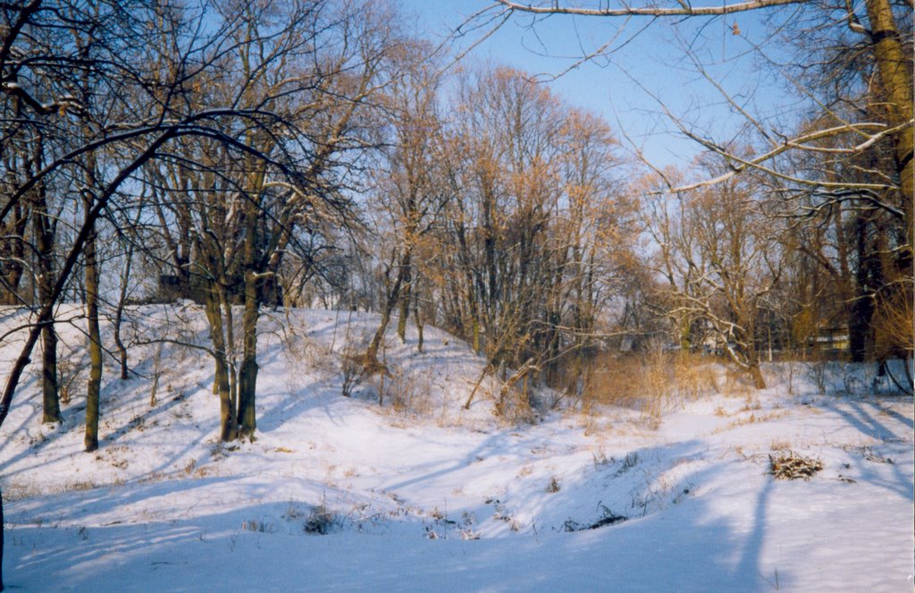 Любомль. Фосія.