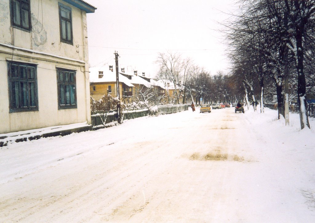 Любомль
