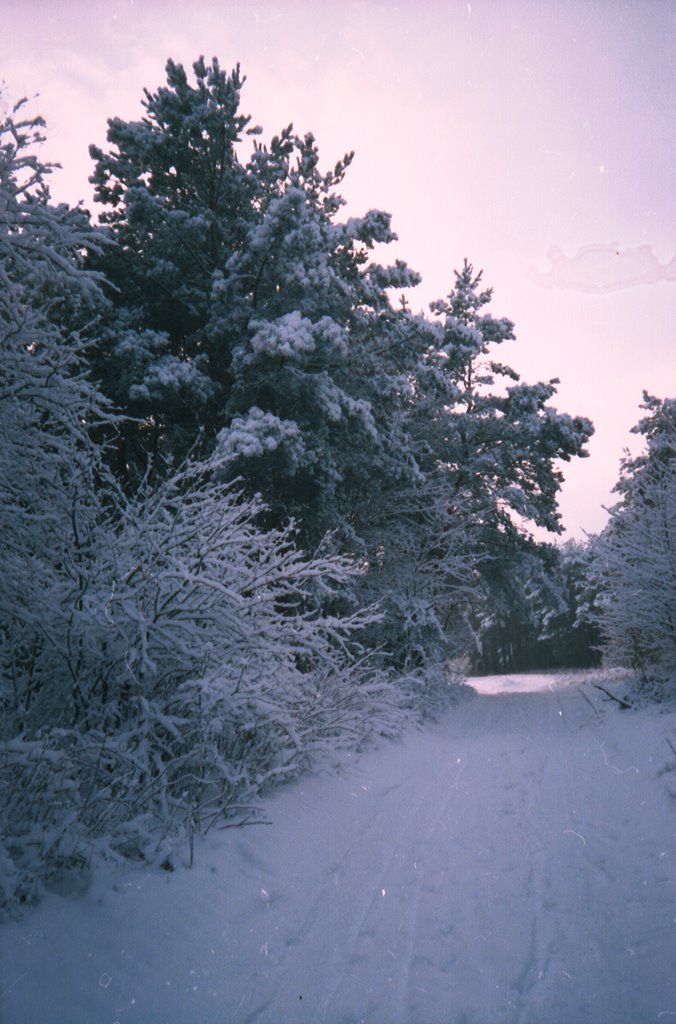 Любомль