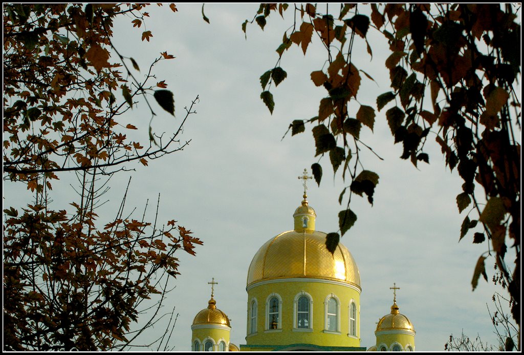 Золоті куполи  Złote banie  Gold domes