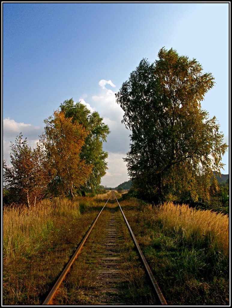 Дорога в осінь...  Droga do jesieni...  A road is in an autumn...
