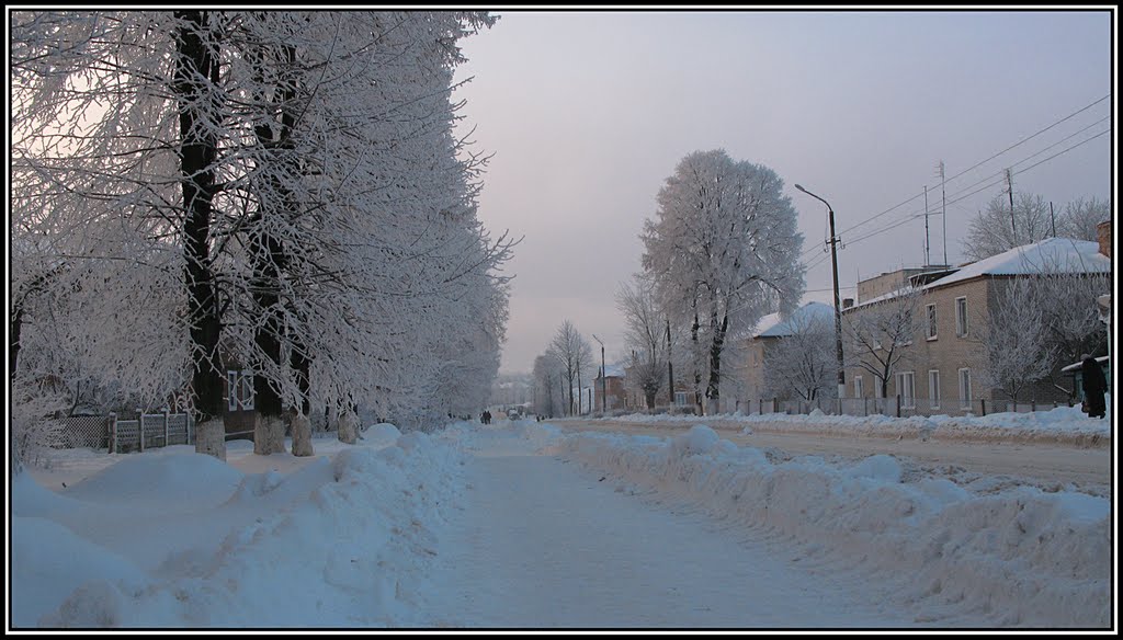 Volodymyr-Volynskyi