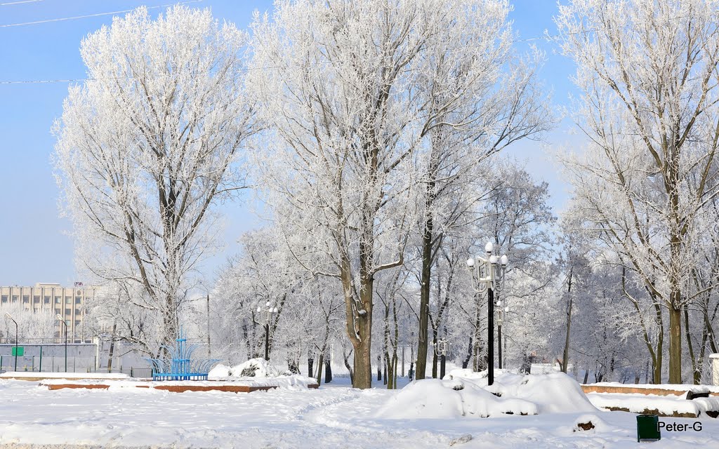 Міський парк / City Park