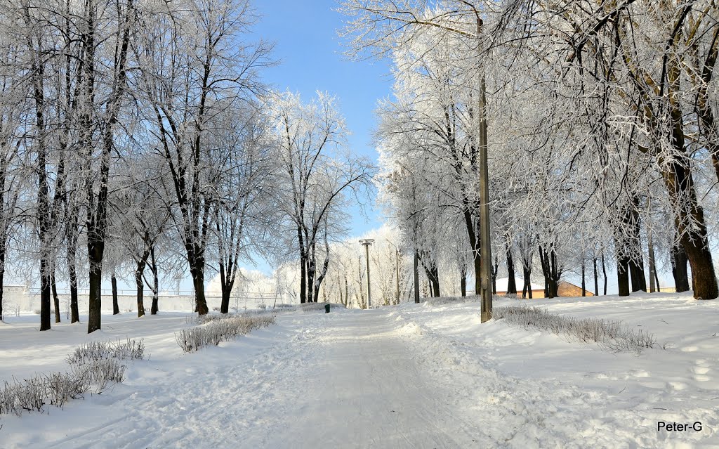 У міському парку / In the city park