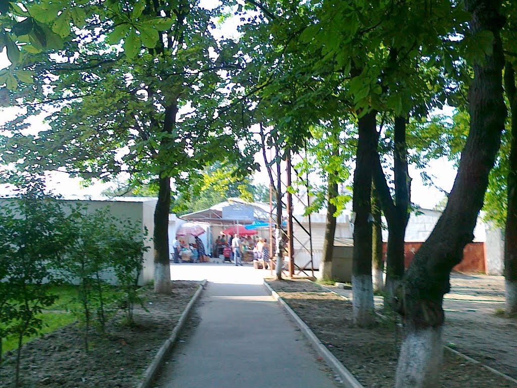 bazar