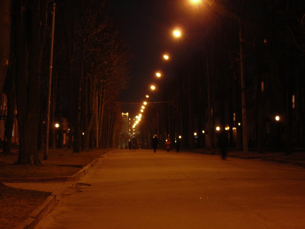 Shevchenka bvd. at night