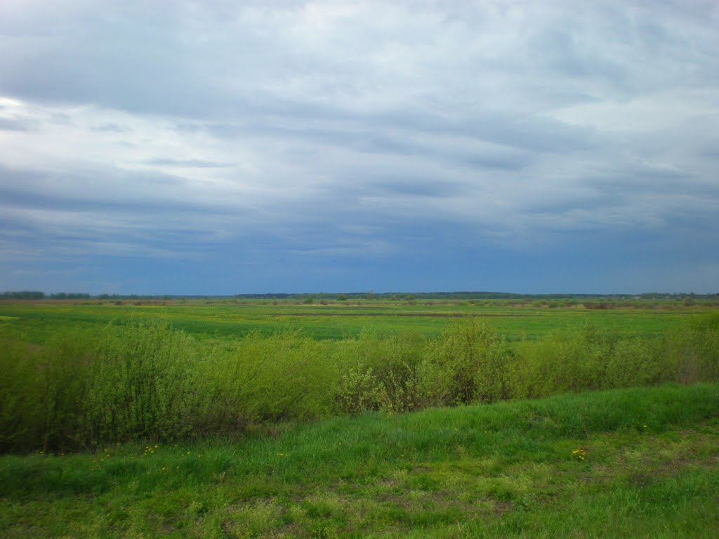 2014г. ВОЛЫНЬ, Ратновский р-н.