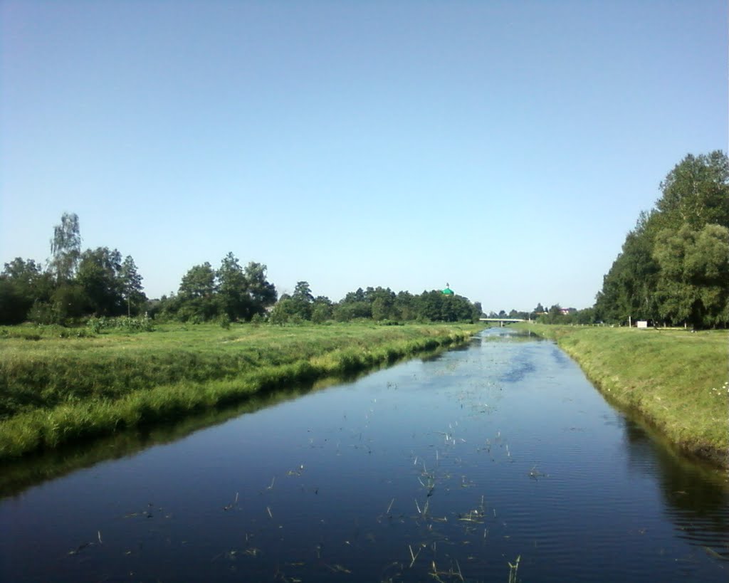 р.Припять в парку