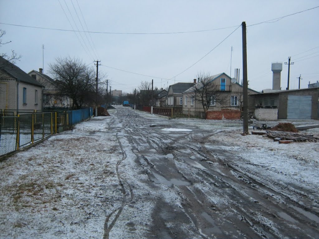 Зима 2011