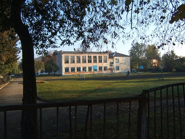A School in Rozhysche