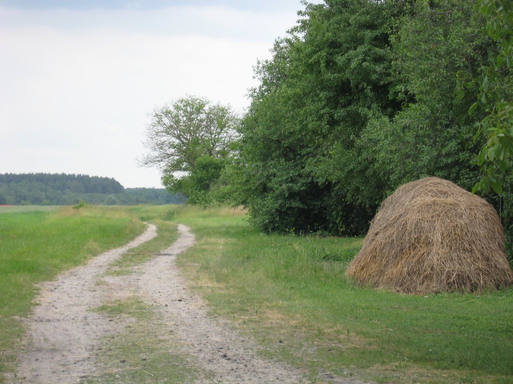 В селі Охітники