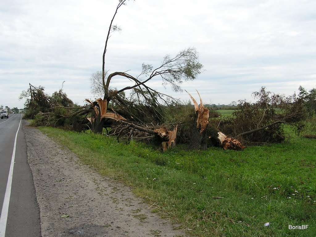 Після бурі 2007/07. After the tornado 2007/07.