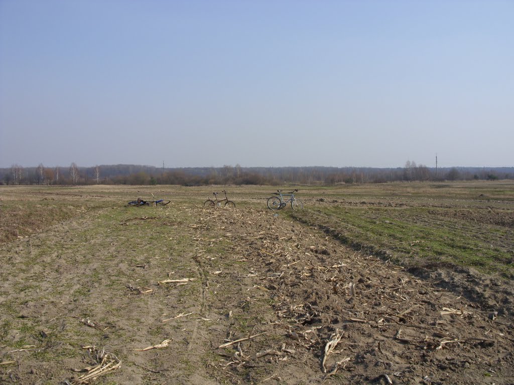 на городі