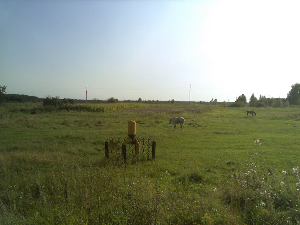 за Турійськом