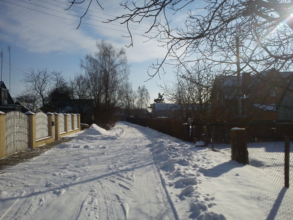 Winter 2012
