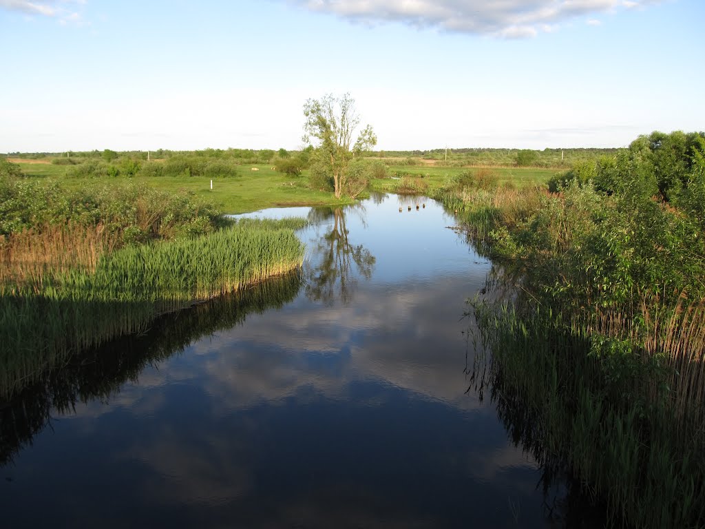 р.Турія