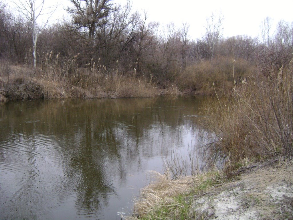 Река Орель. Весна.