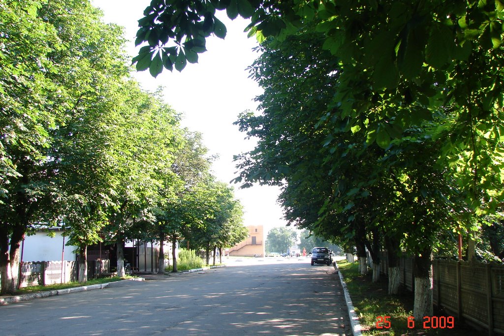 утро на театральной 1