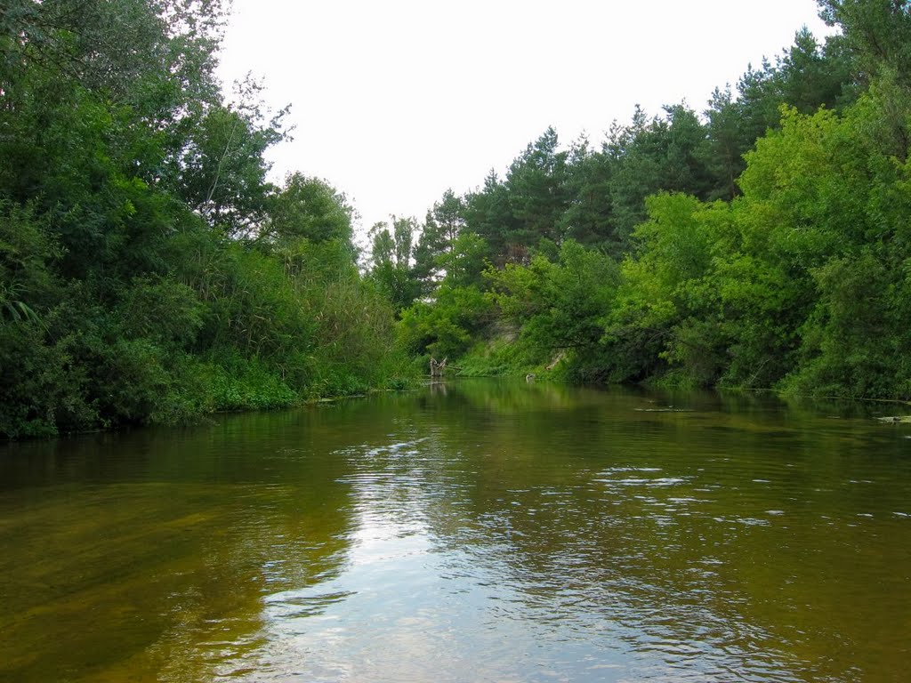р. Орель