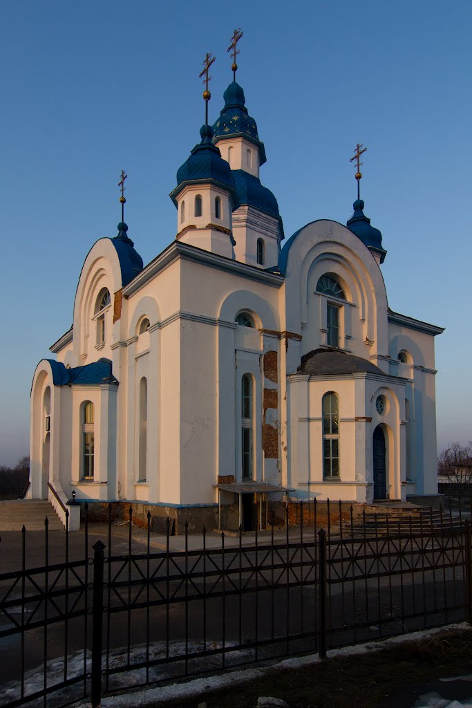 Церковь в Царичанке