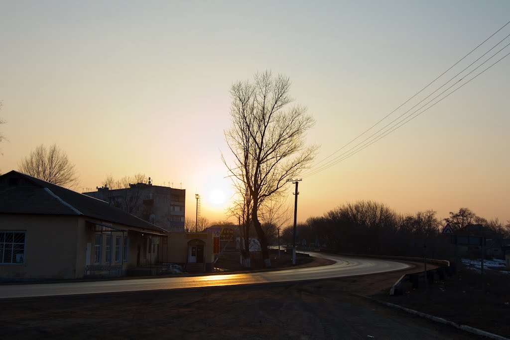 Царичанка