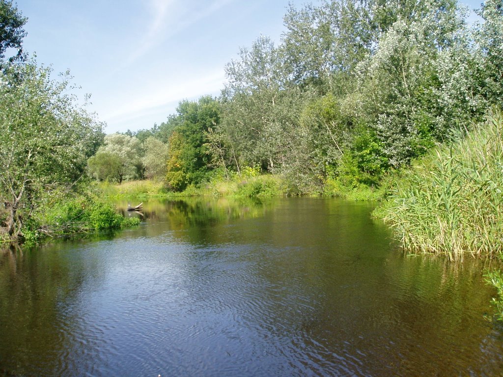 Orel river near Tsarichanka
