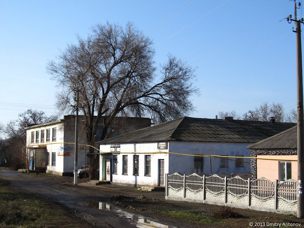 В центрі Широкого, 2013