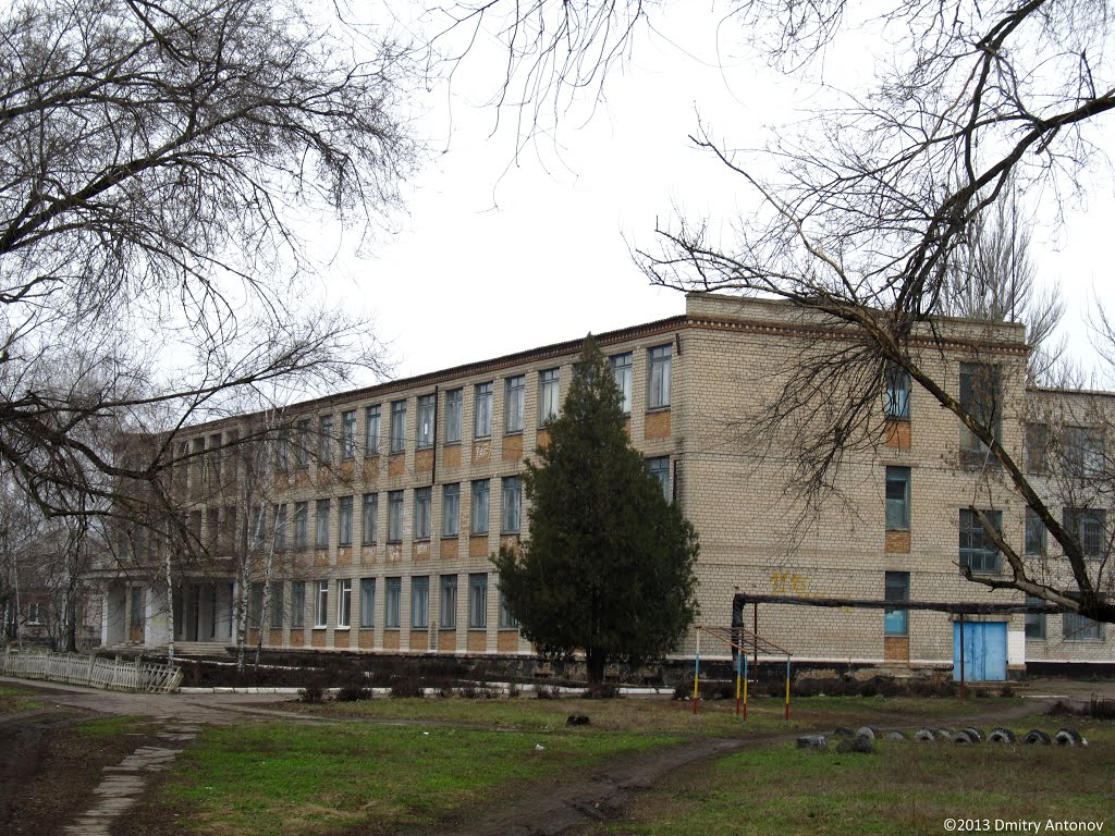 Широківська школа, 2013