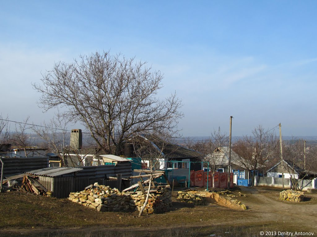 Широке, типовий двір, 2013