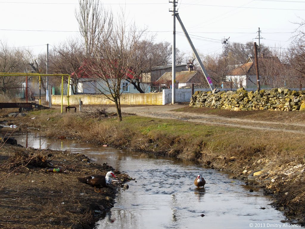 Водоток у Широкій балці, 2013