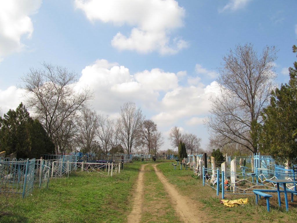 Широківське кладовище, 2013