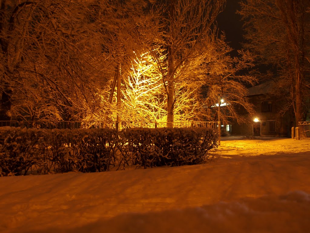 Больница