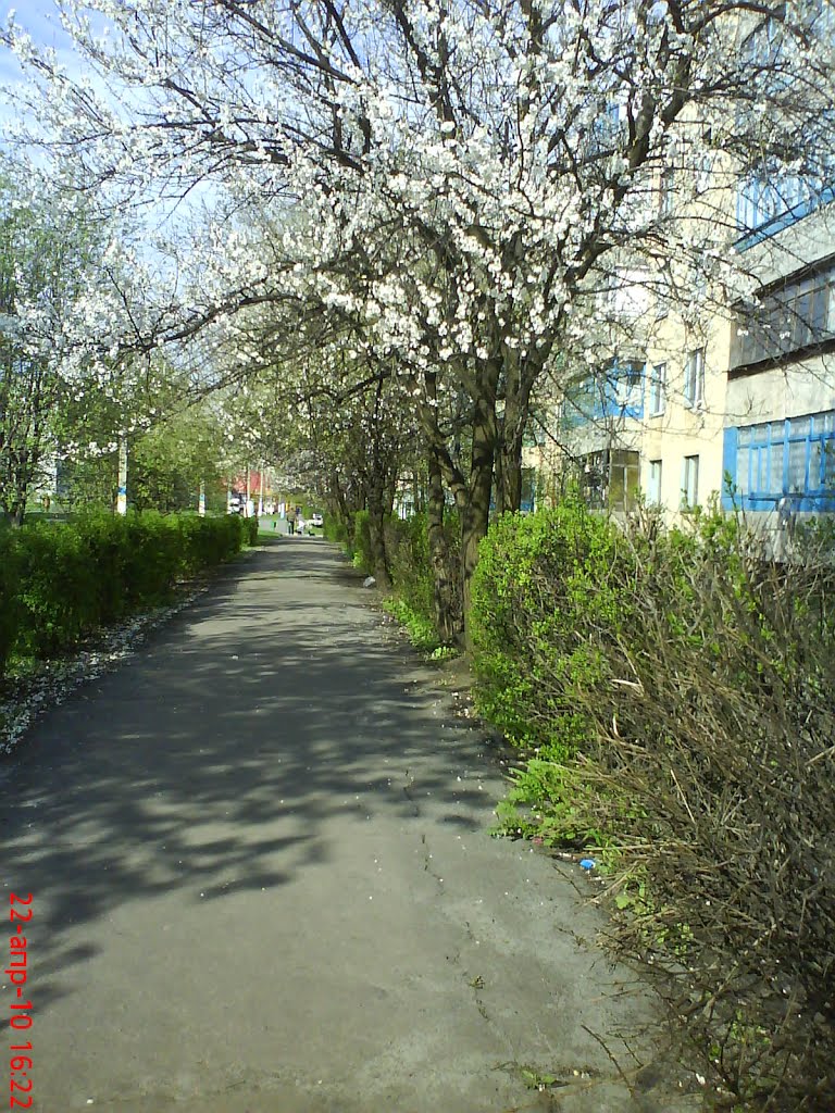 ул. ГАГАРИНА