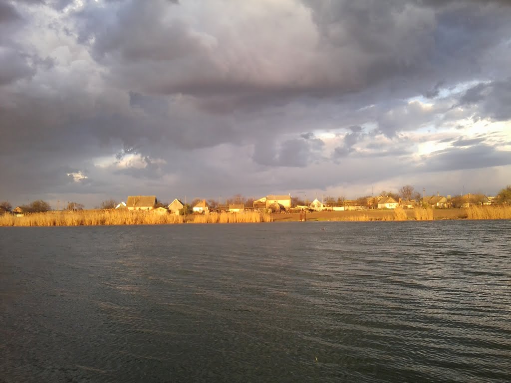 Ставок