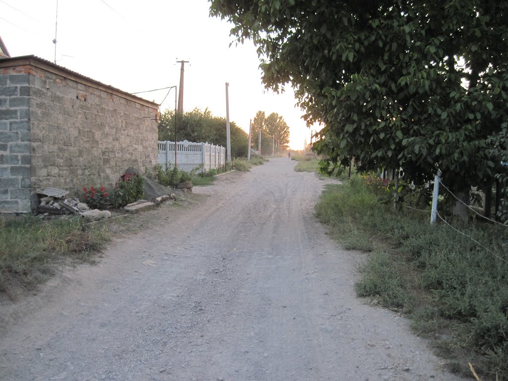 Дорога