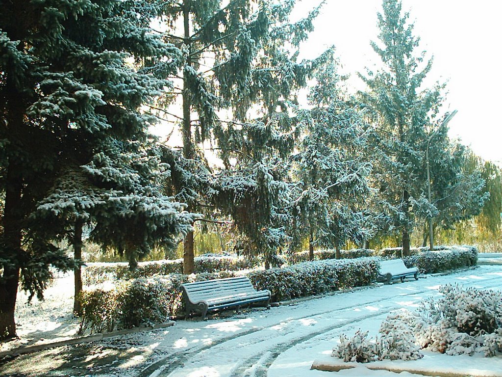 Осень 2003 года. Ул. Набережная.