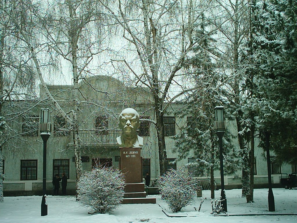 Здание горсовета.