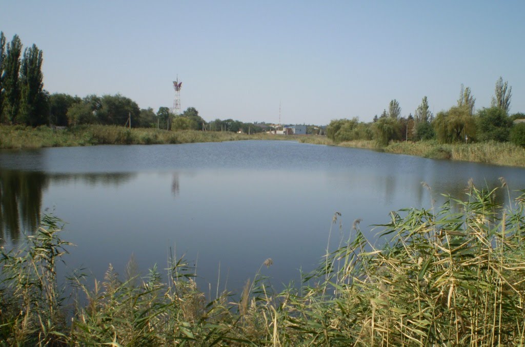 Ставок