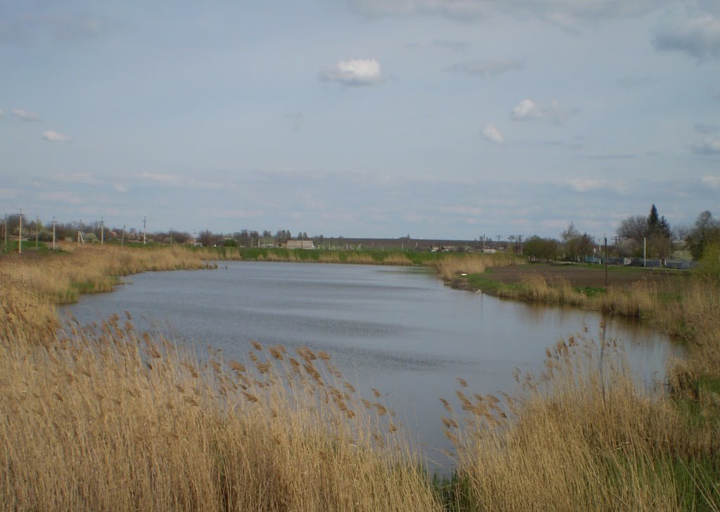 Ставок