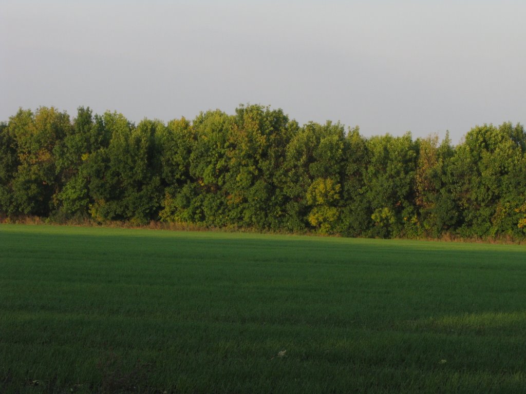 близиться осень